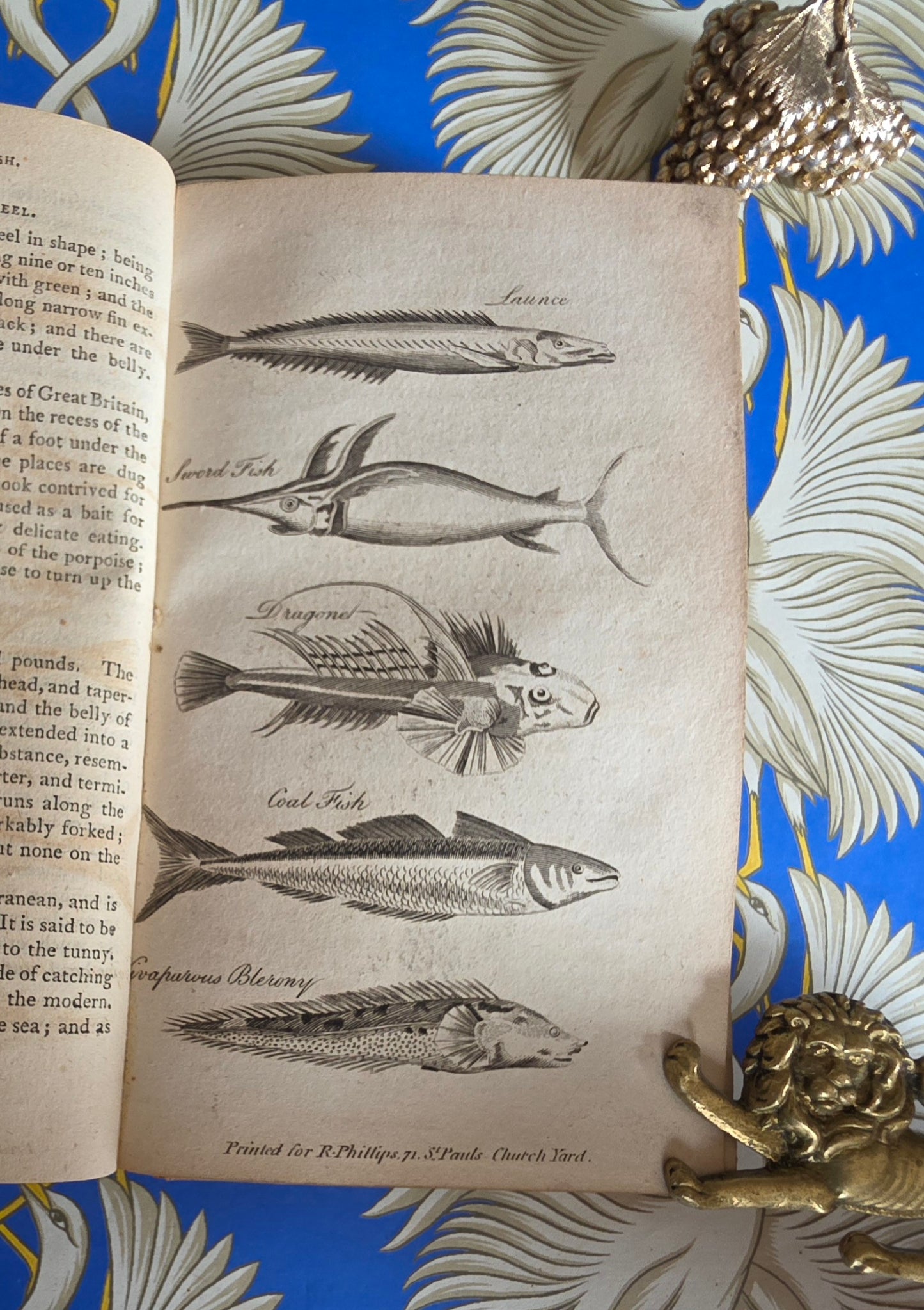 1806 The Elements of Natural History By William Mavor - Illustrated Antique Book