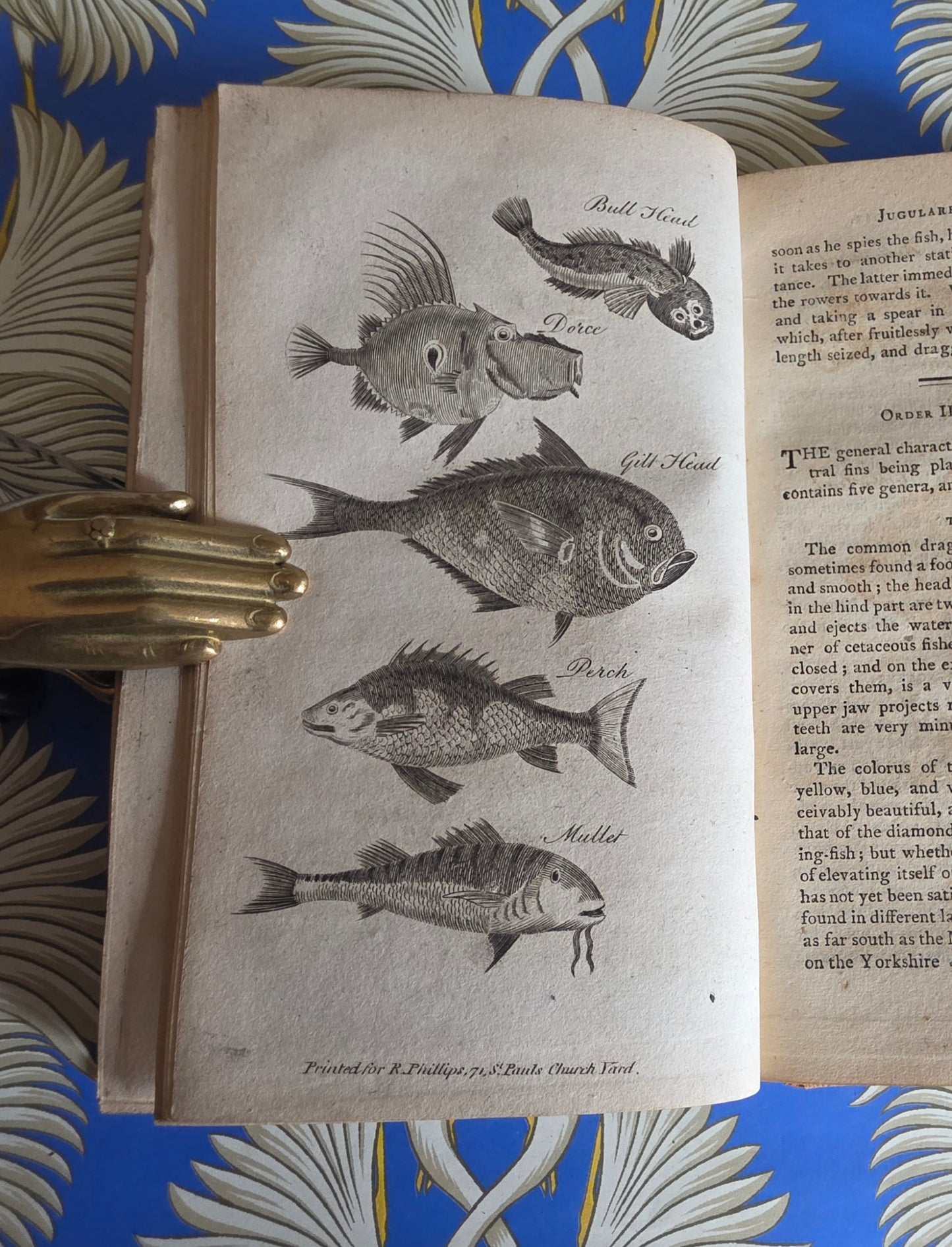 1806 The Elements of Natural History By William Mavor - Illustrated Antique Book