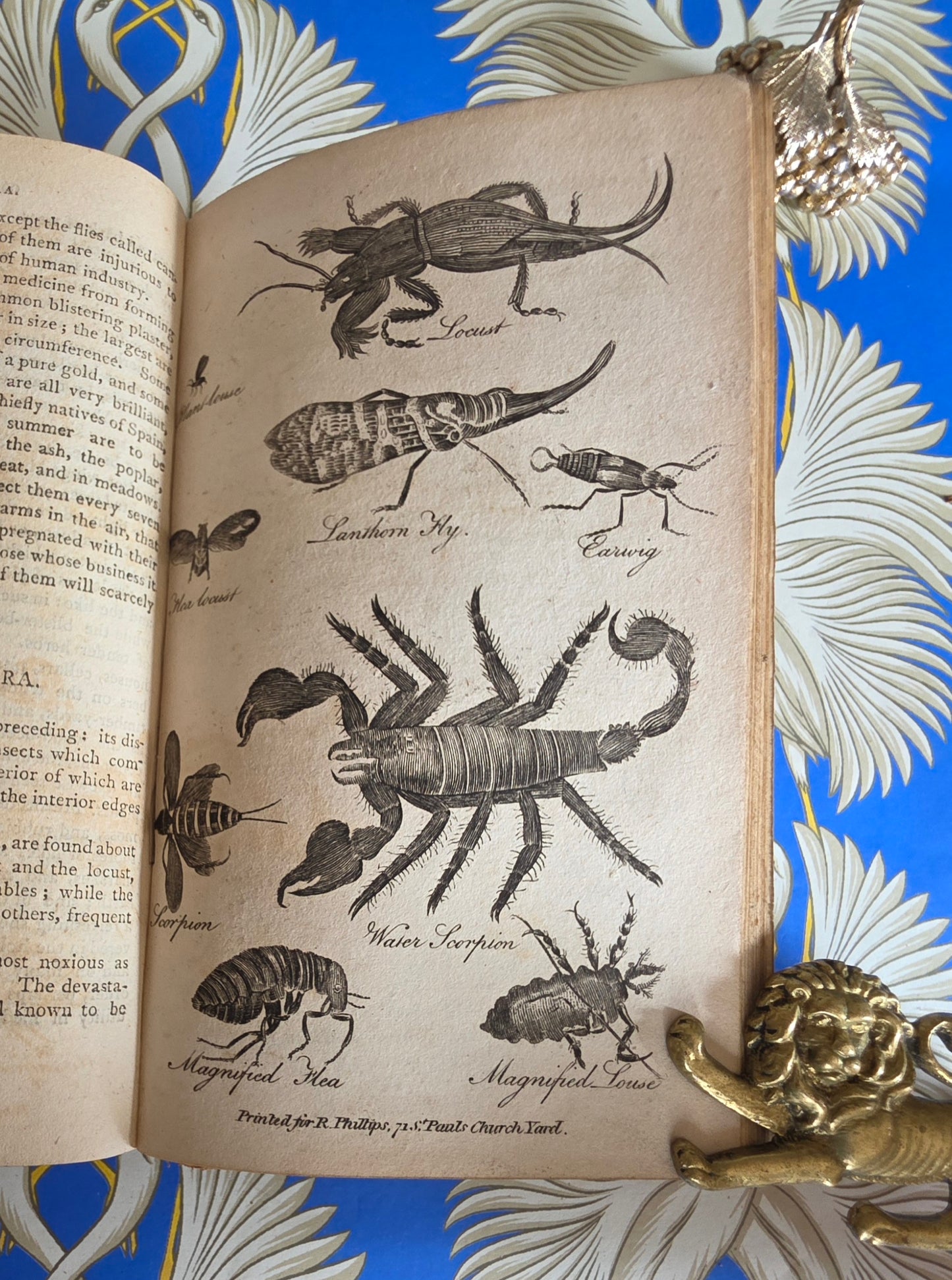 1806 The Elements of Natural History By William Mavor - Illustrated Antique Book