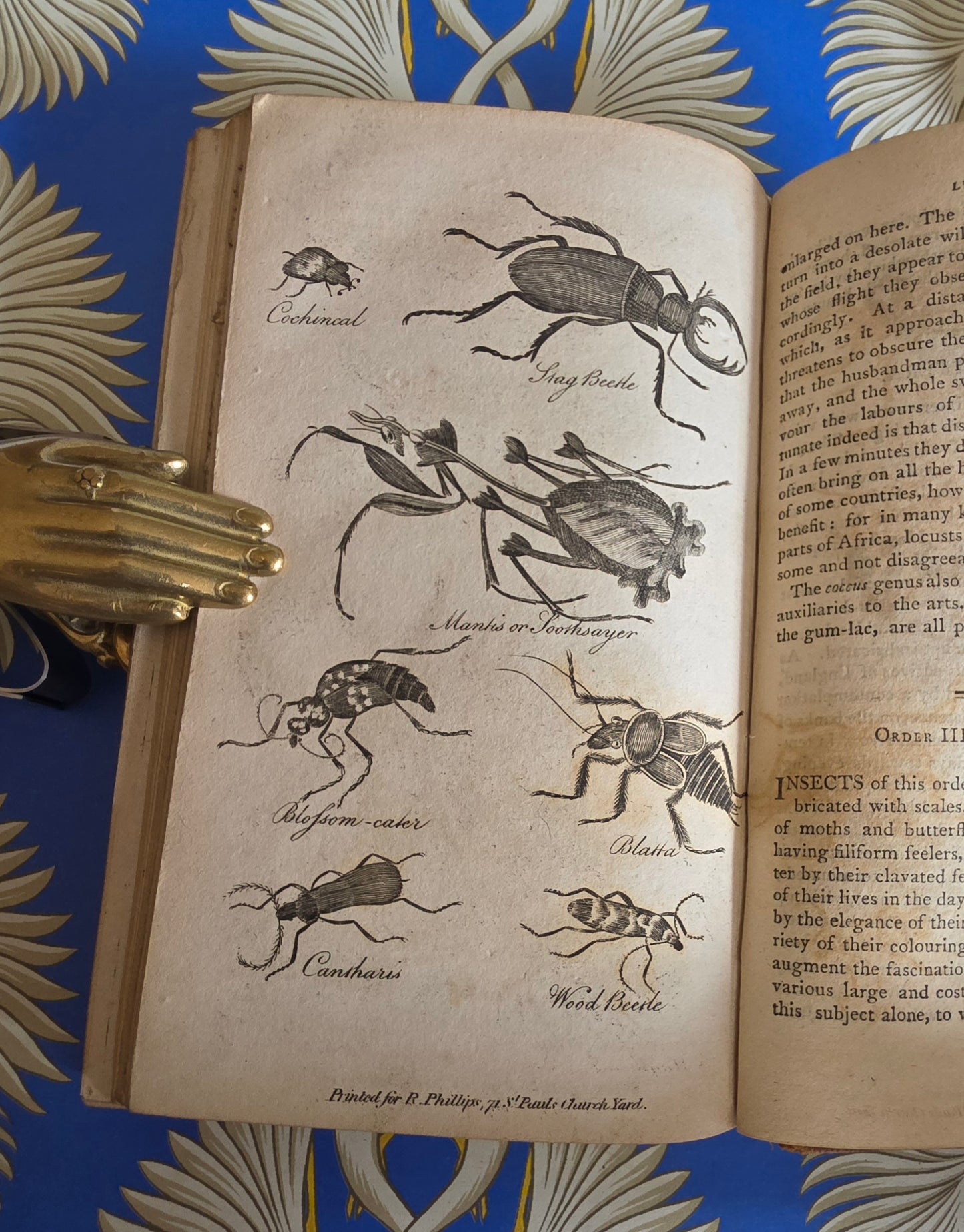 1806 The Elements of Natural History By William Mavor - Illustrated Antique Book