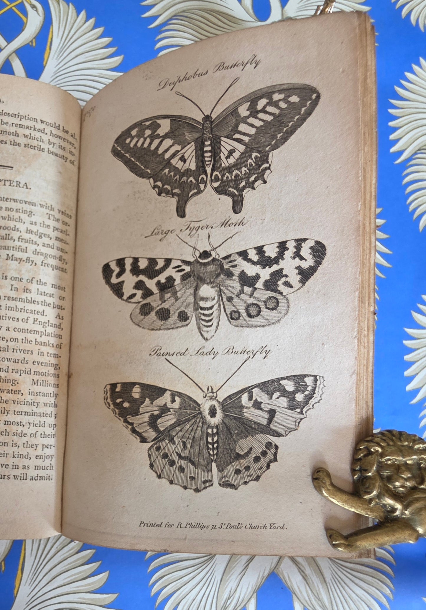 1806 The Elements of Natural History By William Mavor - Illustrated Antique Book