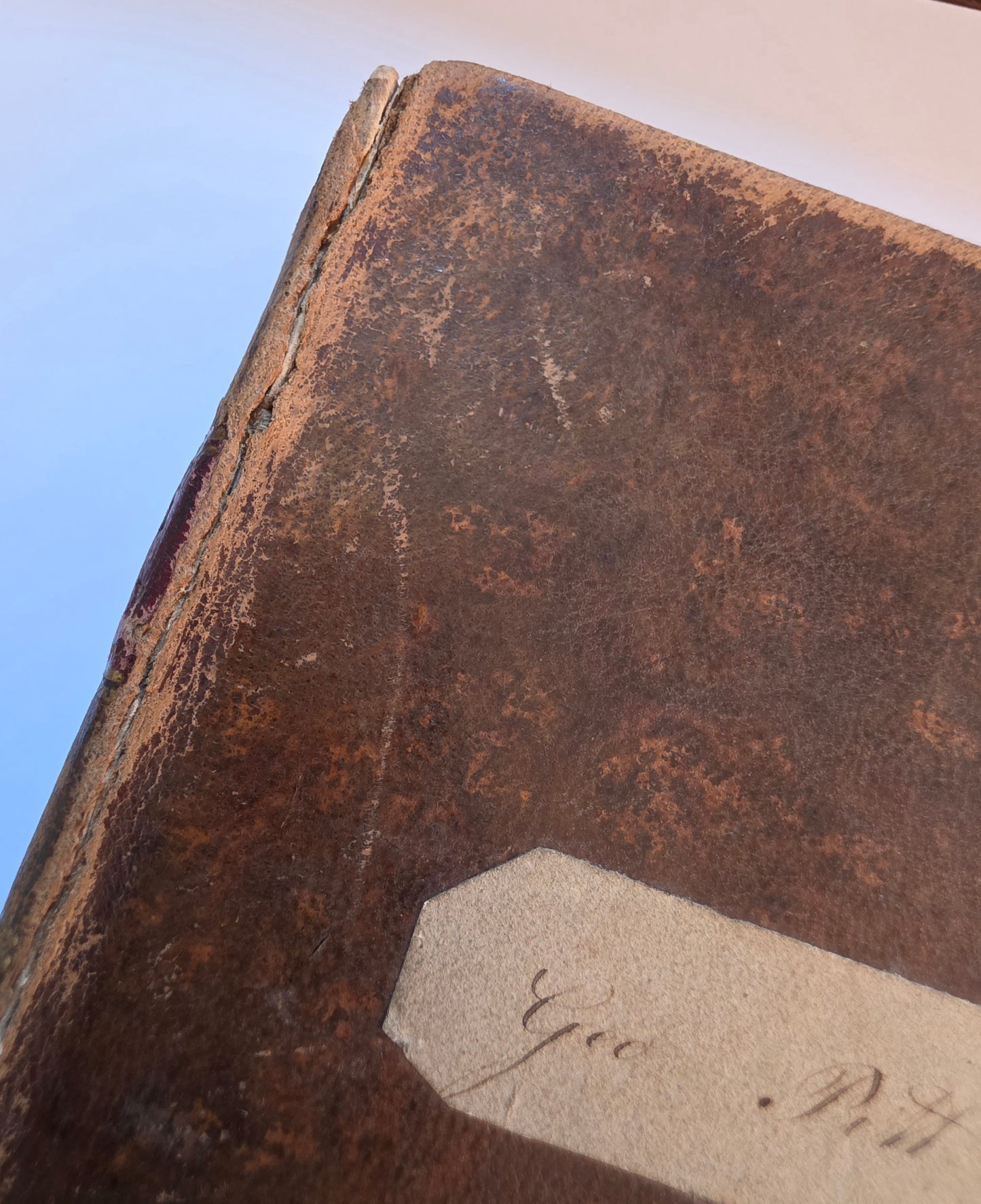 1806 The Elements of Natural History By William Mavor - Illustrated Antique Book