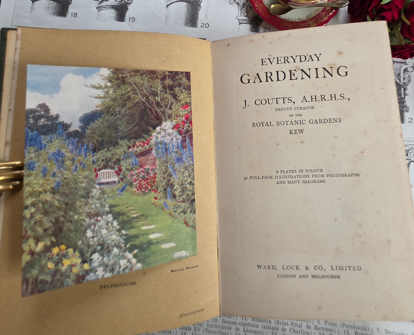 1931 Everyday Gardening by J Coutts - Illustrated Antique Book