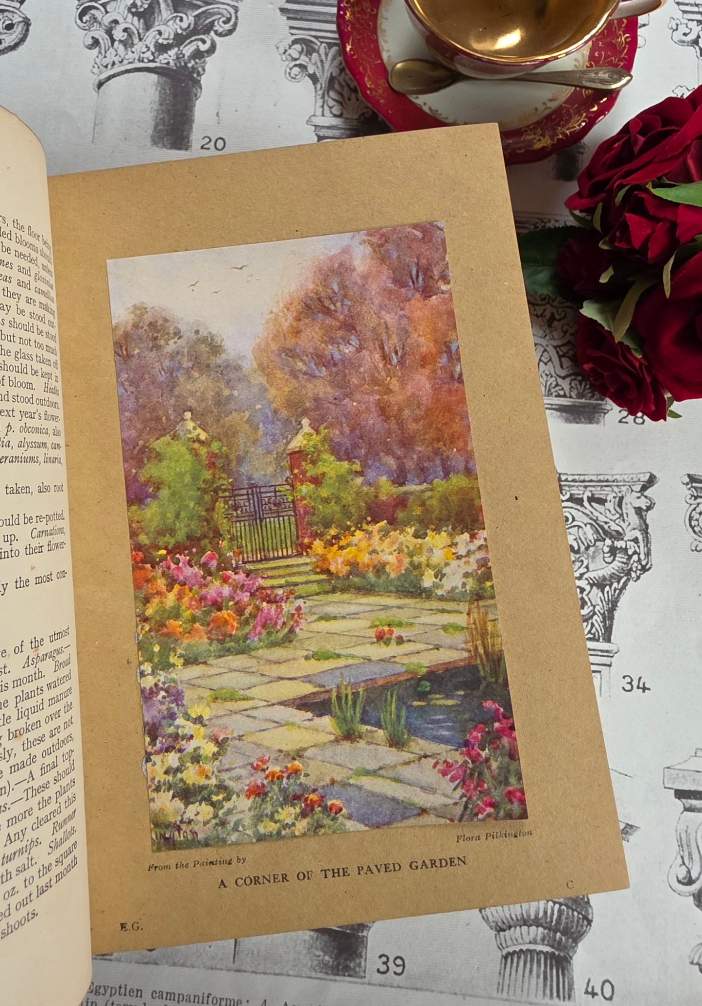 1931 Everyday Gardening by J Coutts - Illustrated Antique Book