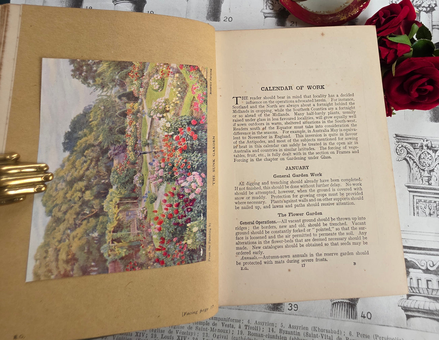 1931 Everyday Gardening by J Coutts - Illustrated Antique Book