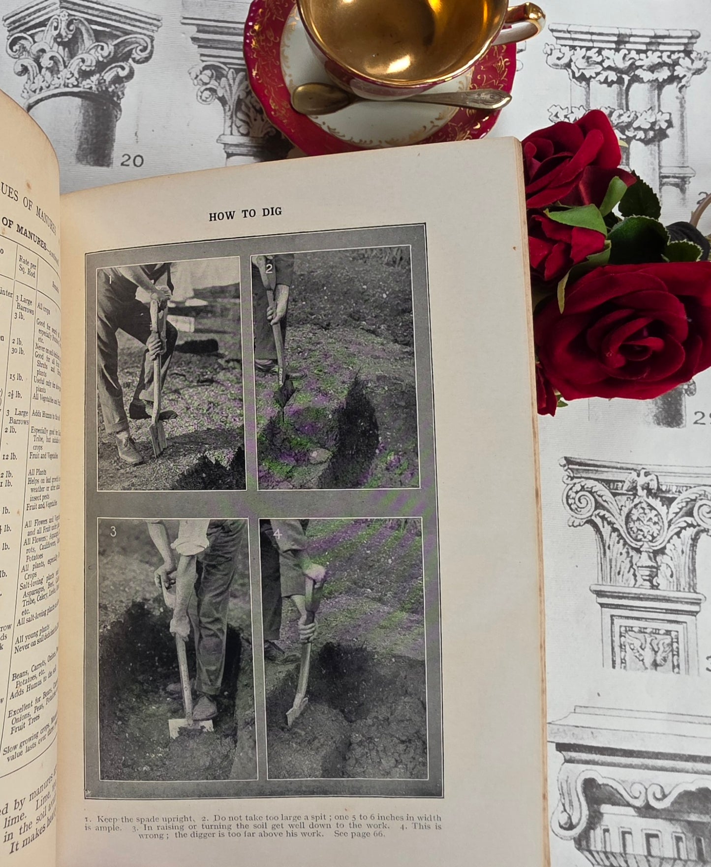 1931 Everyday Gardening by J Coutts - Illustrated Antique Book