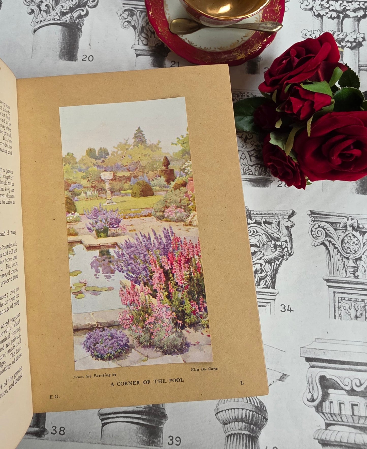 1931 Everyday Gardening by J Coutts - Illustrated Antique Book