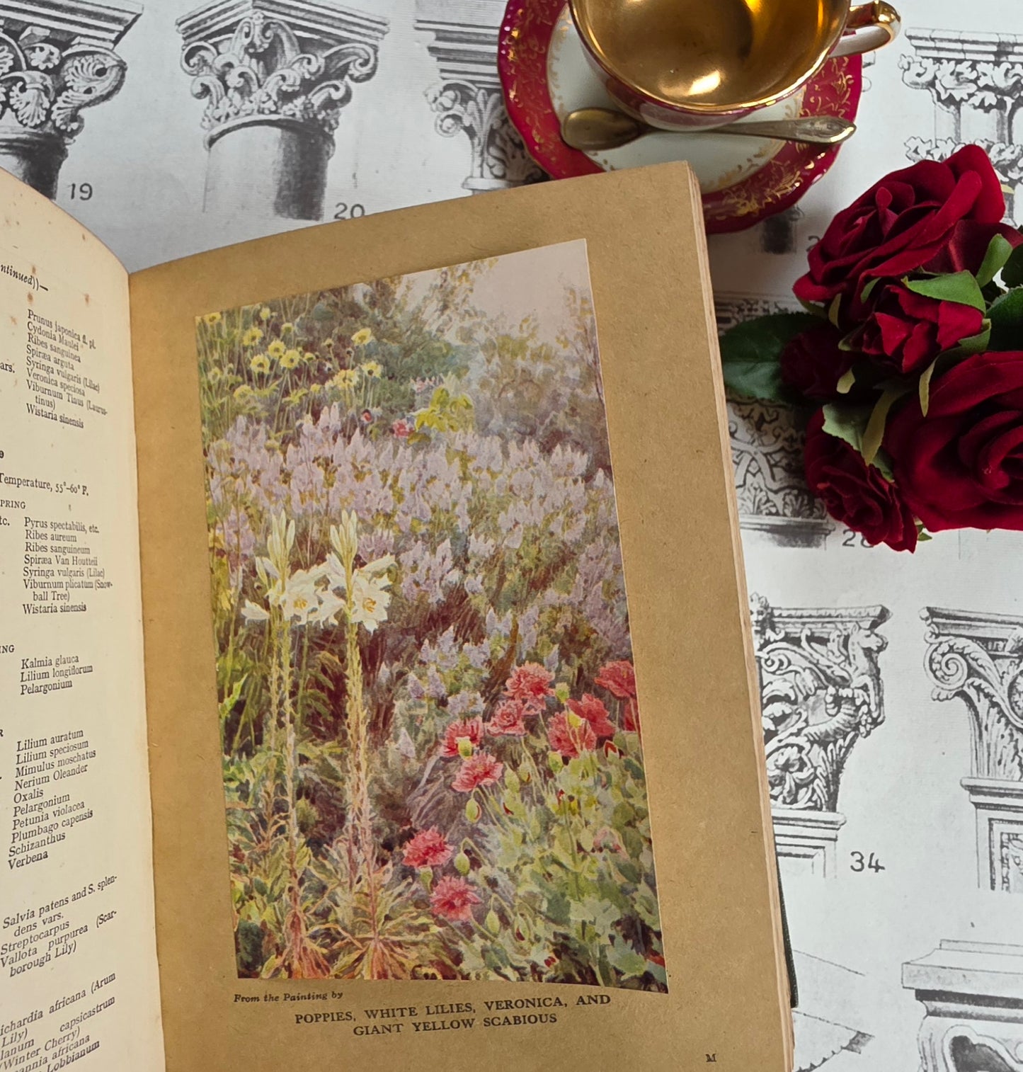 1931 Everyday Gardening by J Coutts - Illustrated Antique Book