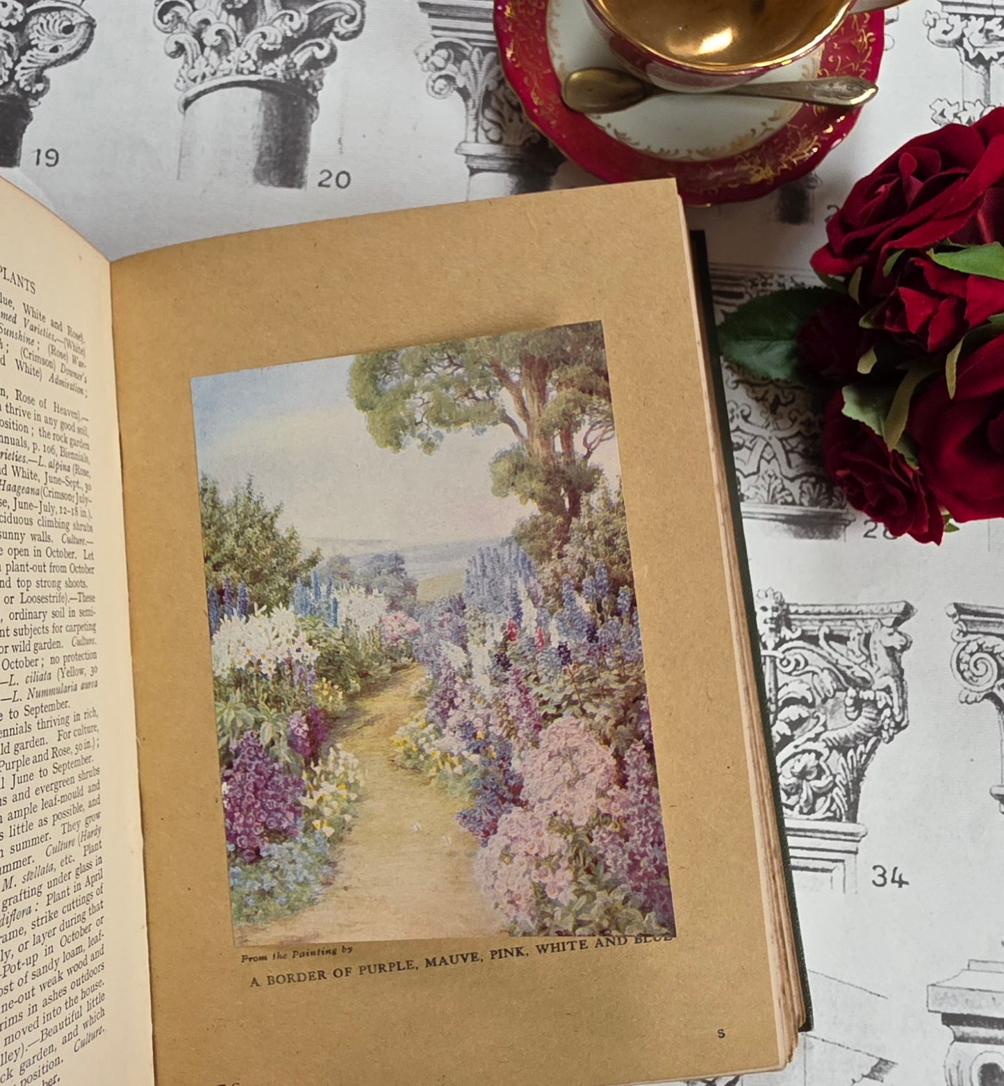 1931 Everyday Gardening by J Coutts - Illustrated Antique Book