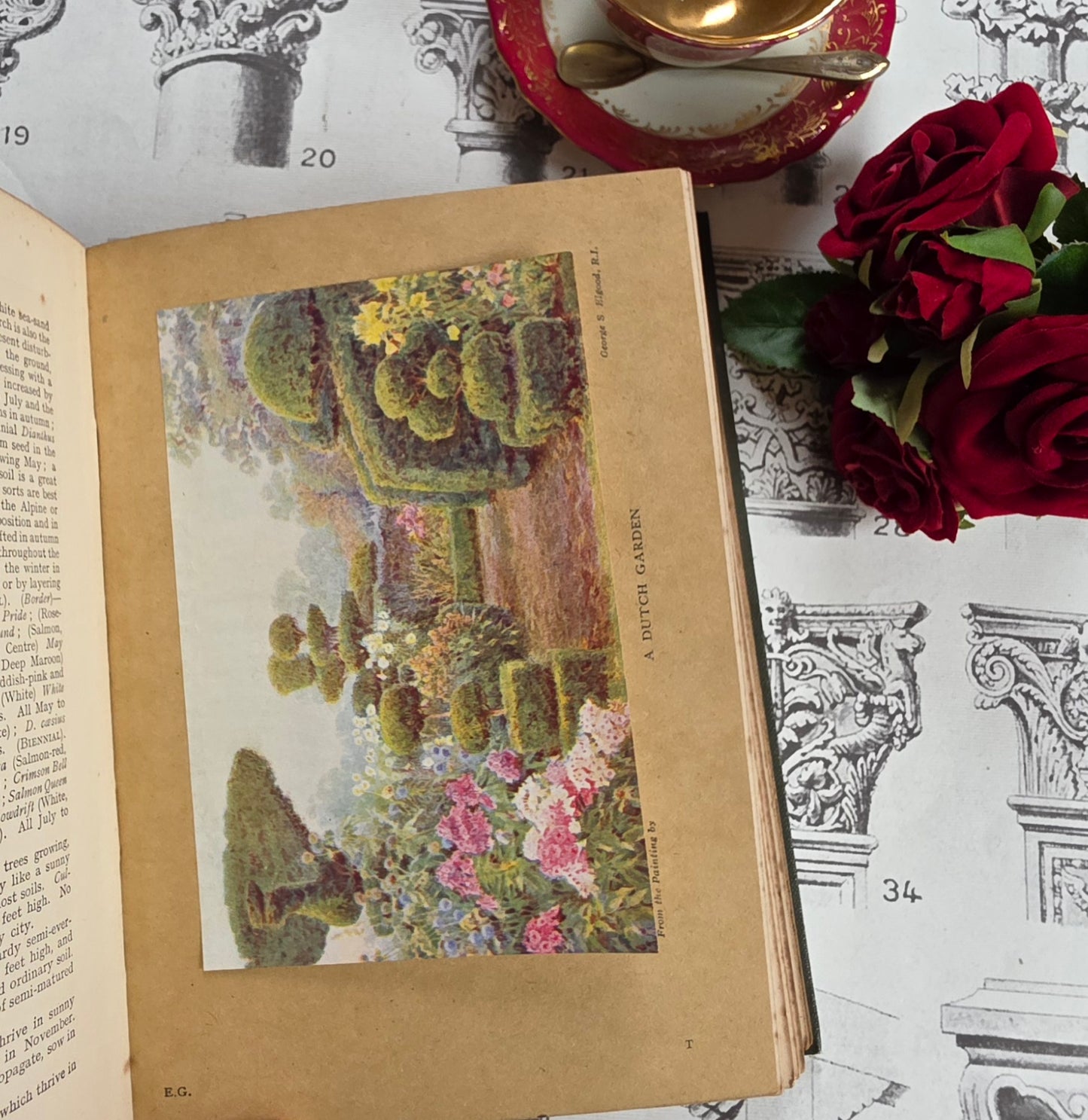 1931 Everyday Gardening by J Coutts - Illustrated Antique Book