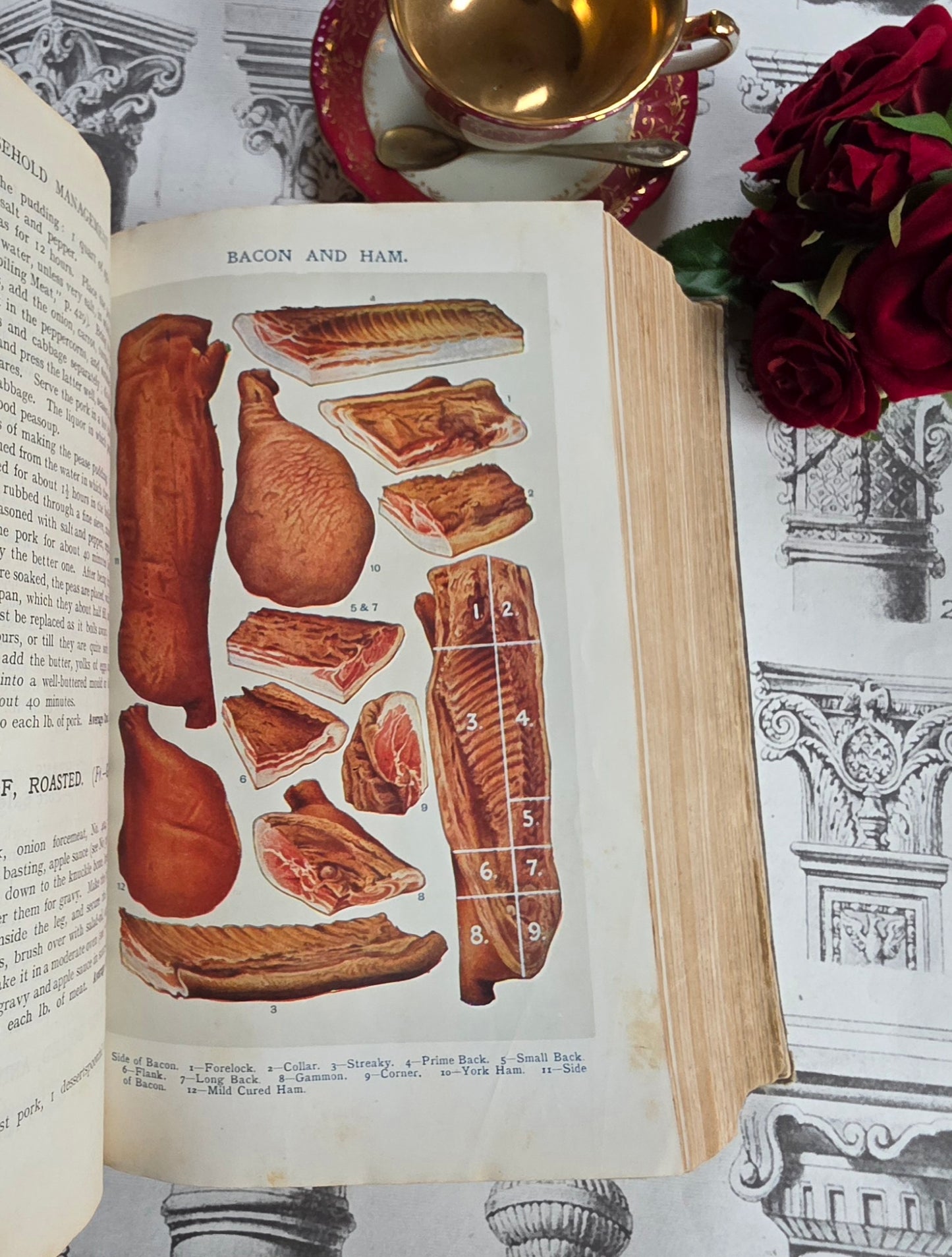 1906 Mrs Beeton's Book of Household Management - Large Illustrated Antique Book