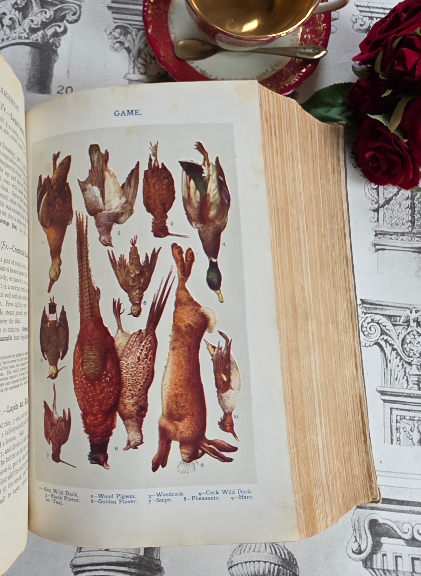 1906 Mrs Beeton's Book of Household Management - Large Illustrated Antique Book