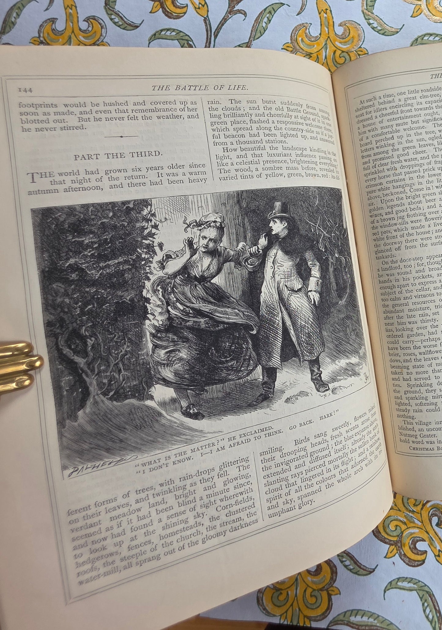 1880 Christmas Books by Charles Dickens - Antique Illustrated Edition