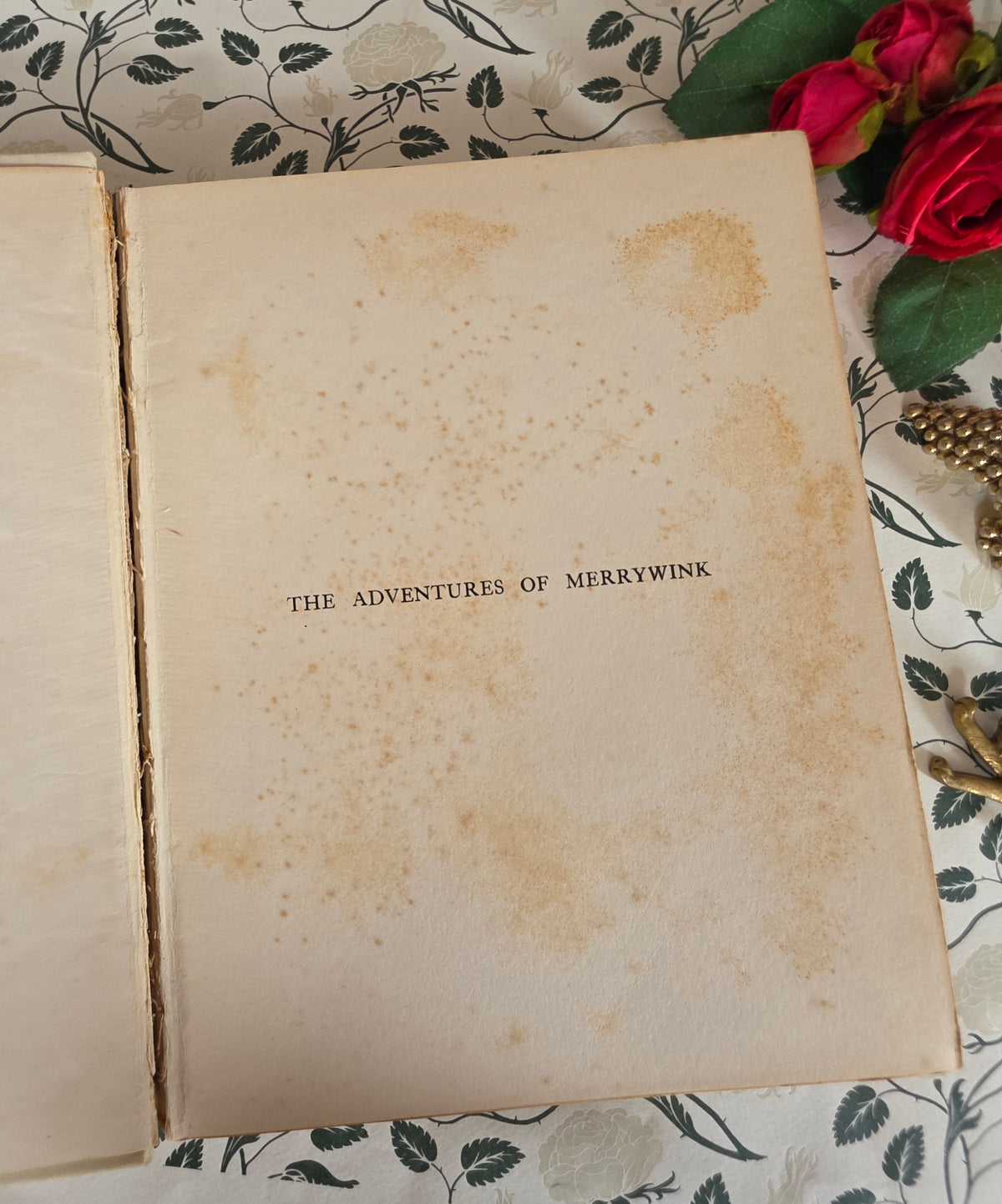 RESERVED 1906 The Adventures of Merrywink by C Gowans Whyte - Illustrated Antique Fairytale Book