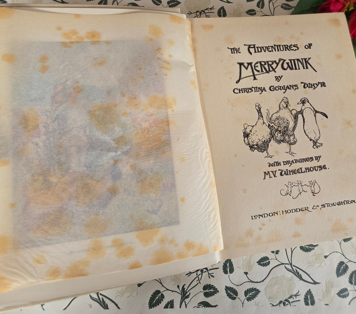 RESERVED 1906 The Adventures of Merrywink by C Gowans Whyte - Illustrated Antique Fairytale Book