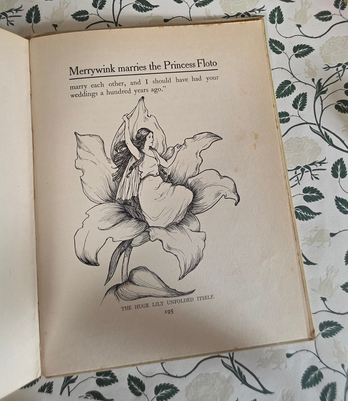 RESERVED 1906 The Adventures of Merrywink by C Gowans Whyte - Illustrated Antique Fairytale Book