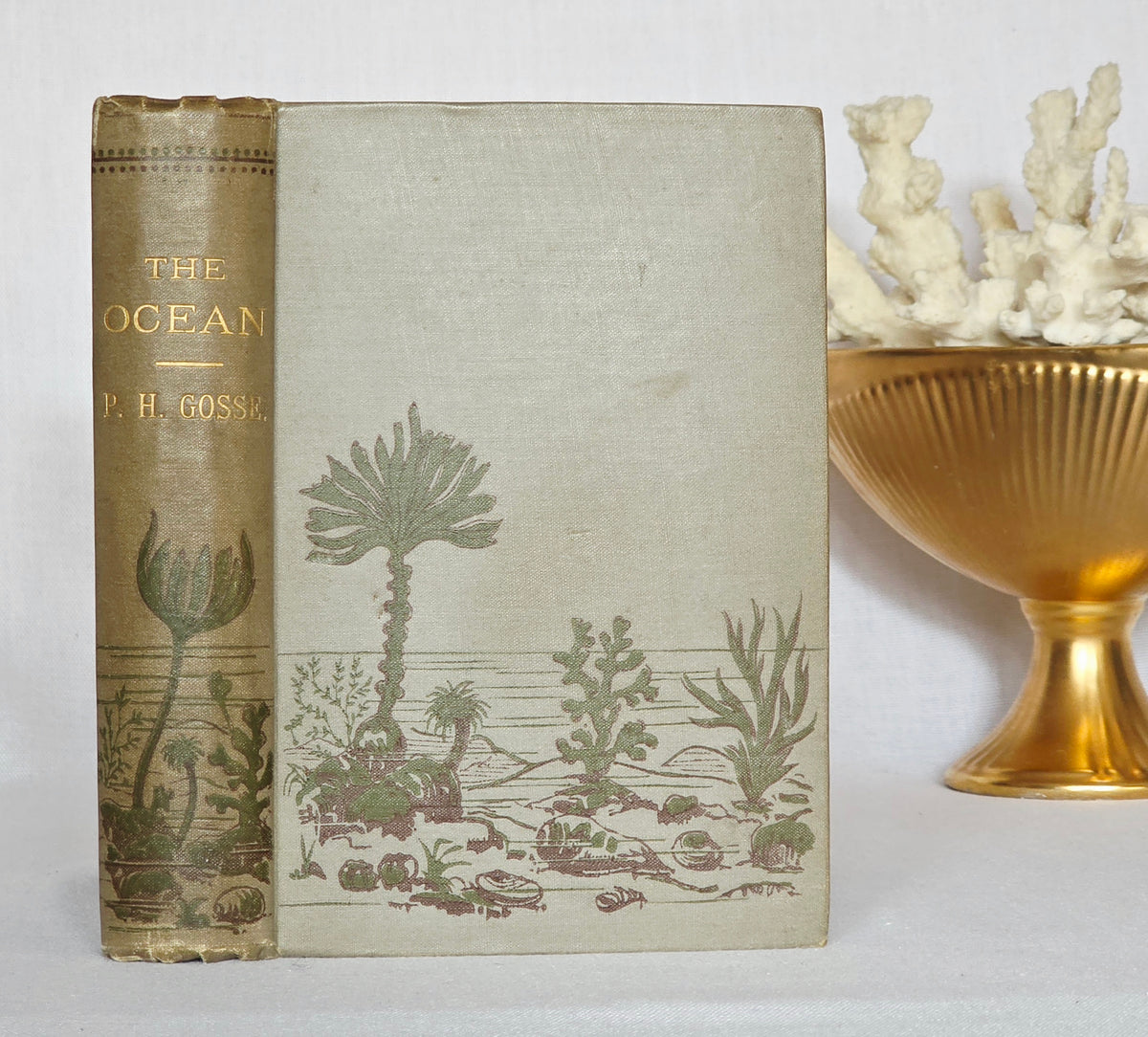 1860 The Ocean by PH Gosse - Illustrated Antique Book