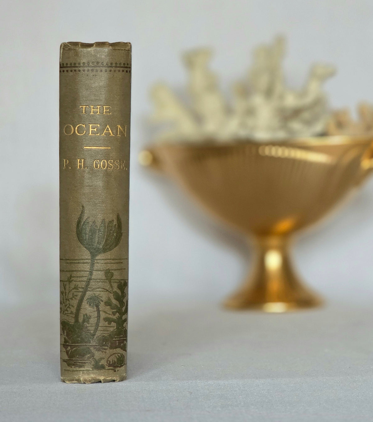 1860 The Ocean by PH Gosse - Illustrated Antique Book