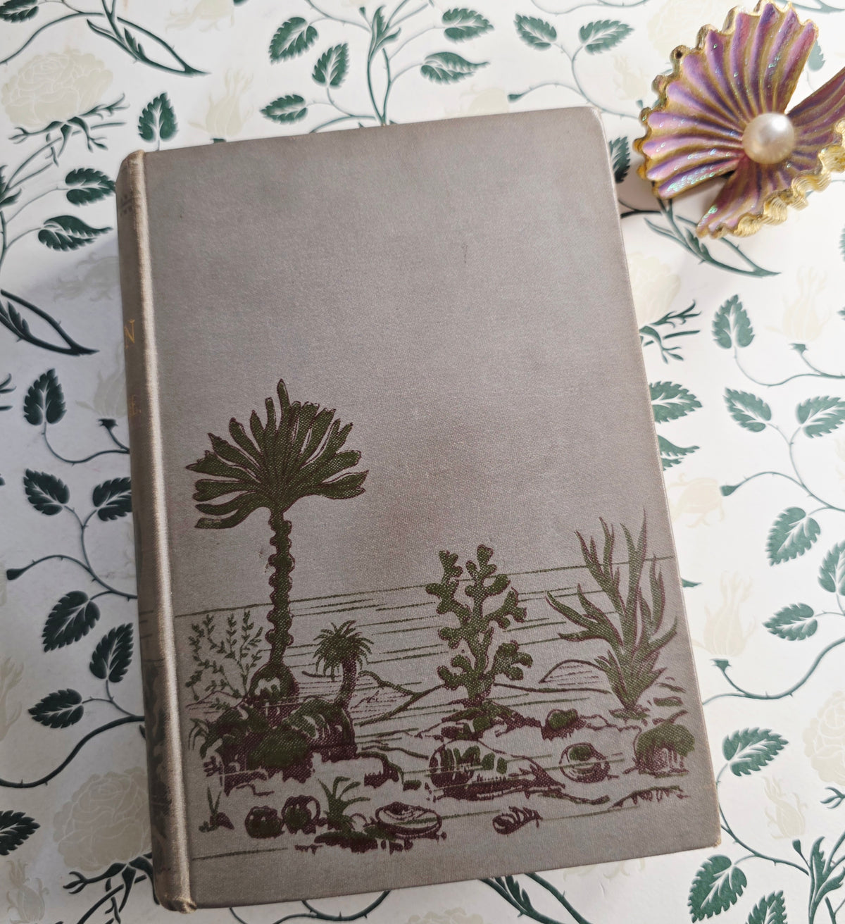 1860 The Ocean by PH Gosse - Illustrated Antique Book