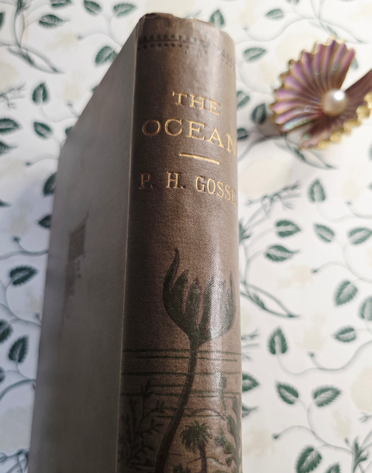 1860 The Ocean by PH Gosse - Illustrated Antique Book