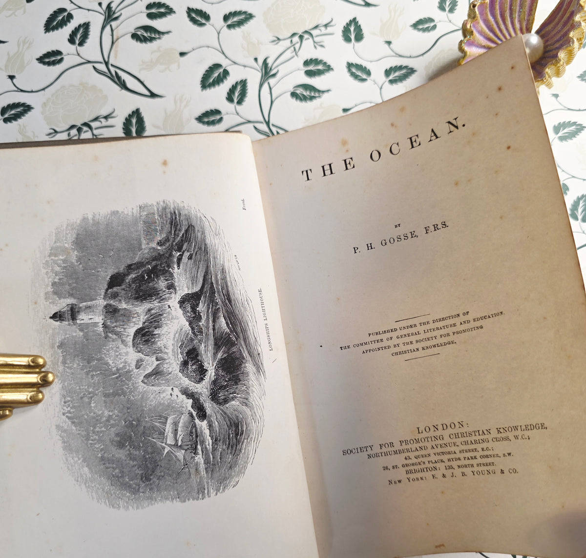 1860 The Ocean by PH Gosse - Illustrated Antique Book