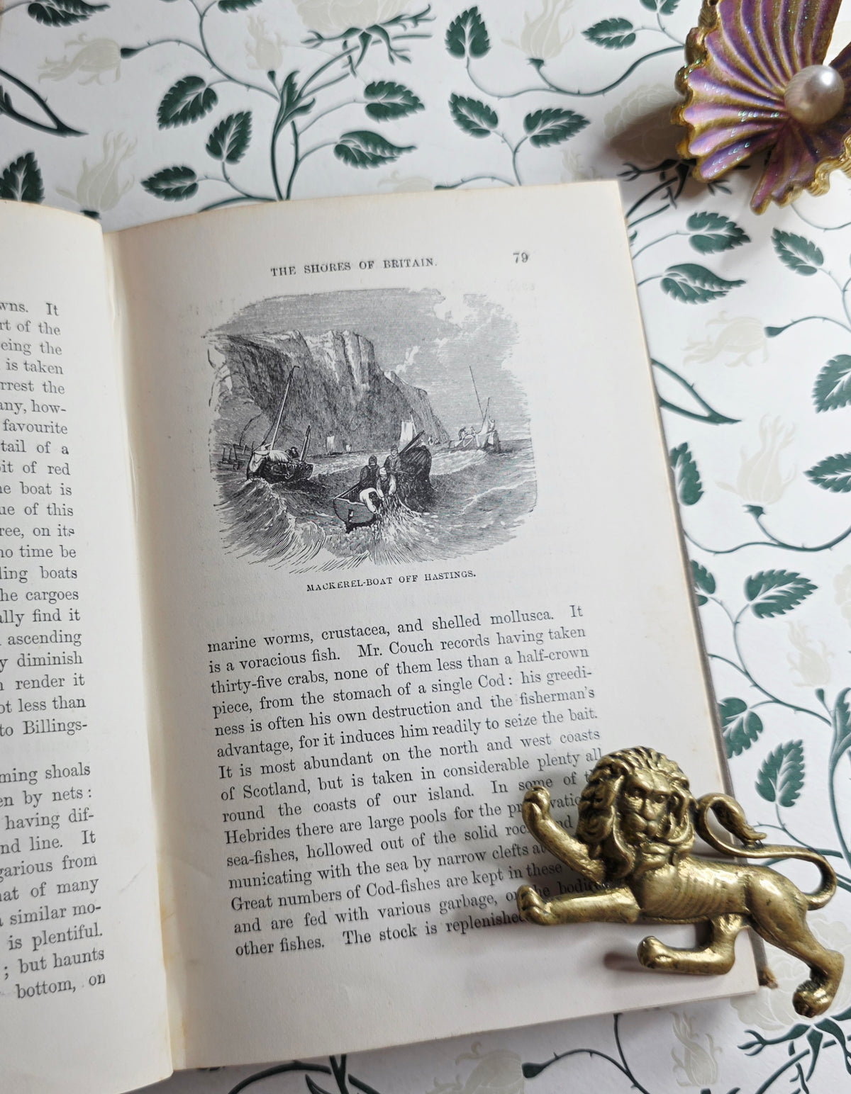 1860 The Ocean by PH Gosse - Illustrated Antique Book