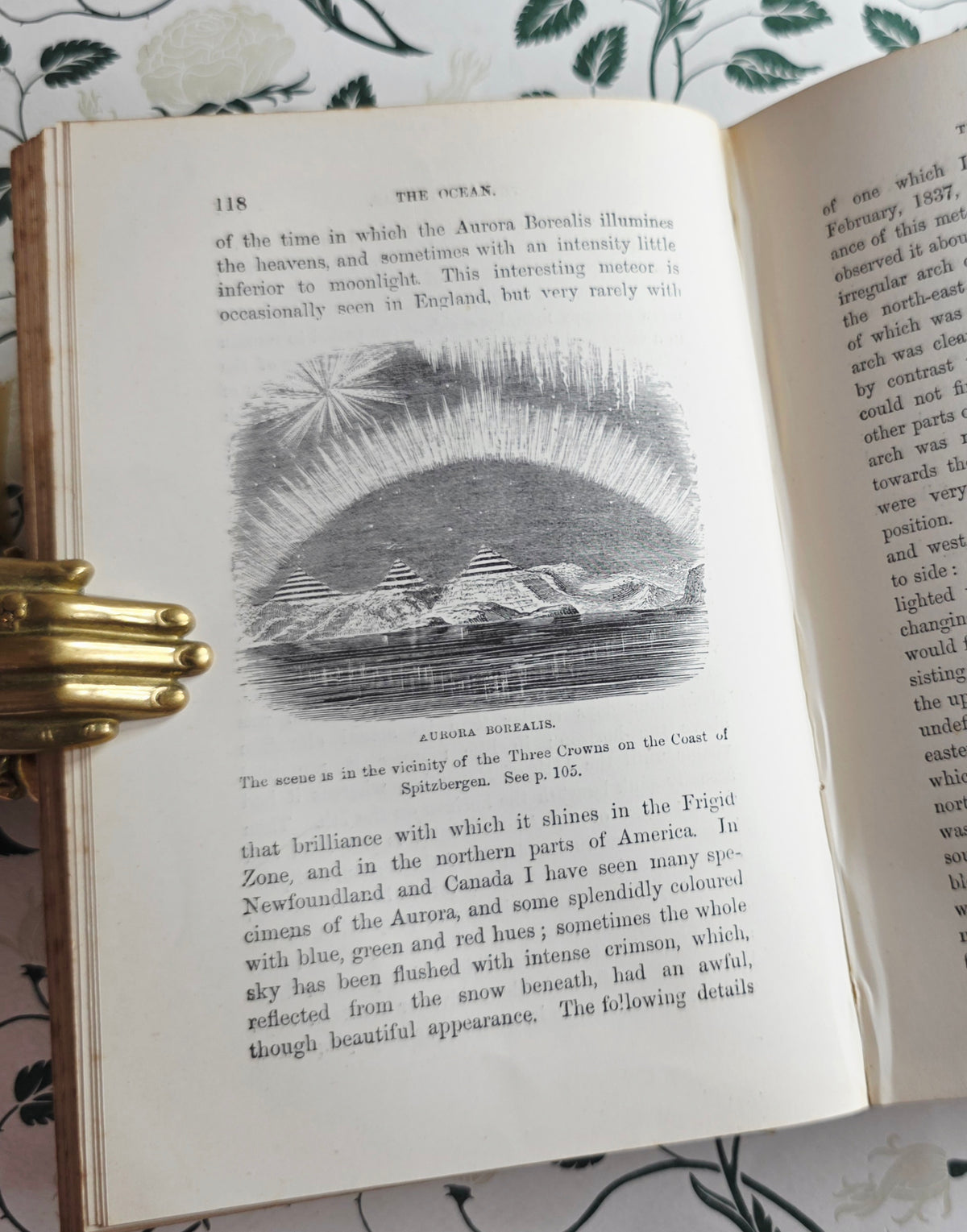 1860 The Ocean by PH Gosse - Illustrated Antique Book