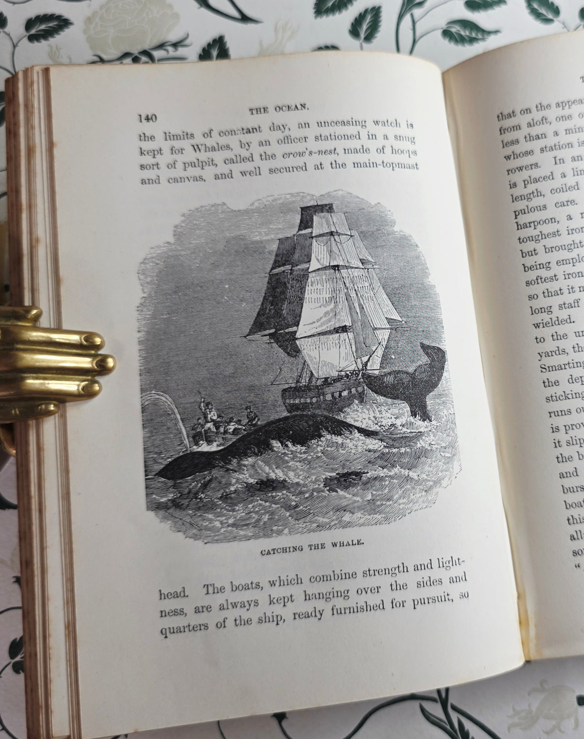 1860 The Ocean by PH Gosse - Illustrated Antique Book