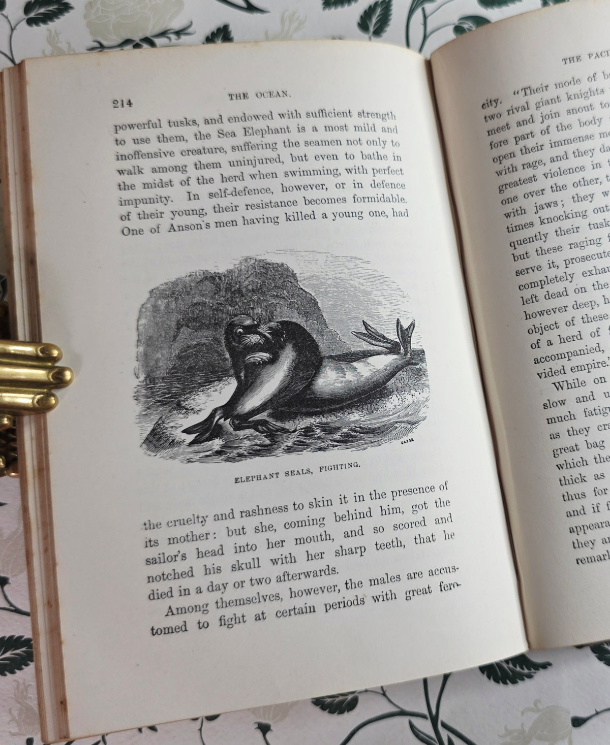 1860 The Ocean by PH Gosse - Illustrated Antique Book