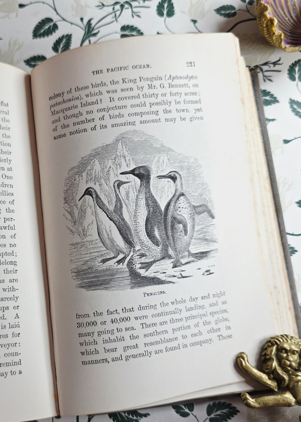 1860 The Ocean by PH Gosse - Illustrated Antique Book