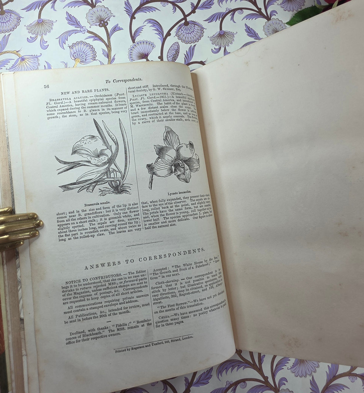 1854 The Ladies' Companion and Monthly Magazine - Illustrated Antique Book