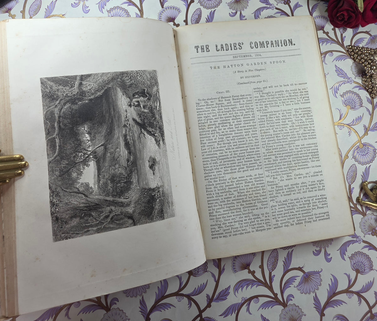1854 The Ladies' Companion and Monthly Magazine - Illustrated Antique Book