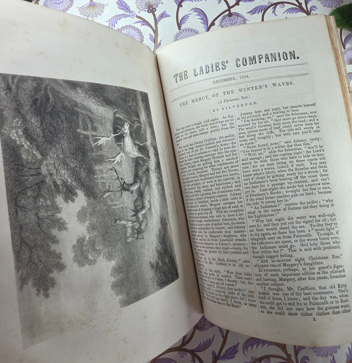 1854 The Ladies' Companion and Monthly Magazine - Illustrated Antique Book
