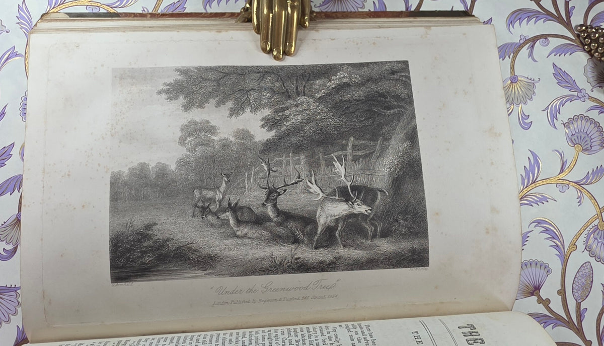1854 The Ladies' Companion and Monthly Magazine - Illustrated Antique Book