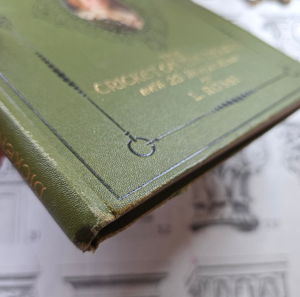 1912 The Cricket on the Hearth by Charles Dickens - Illustrated Antique Book