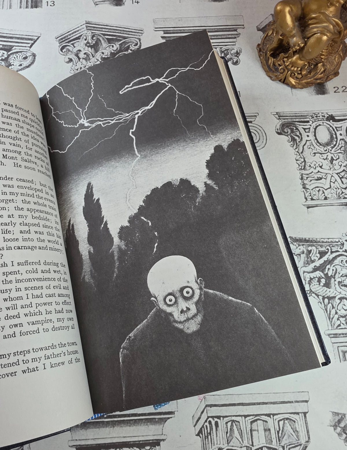 1973 Frankenstein by Mary Shelley - Illustrated Vintage Book