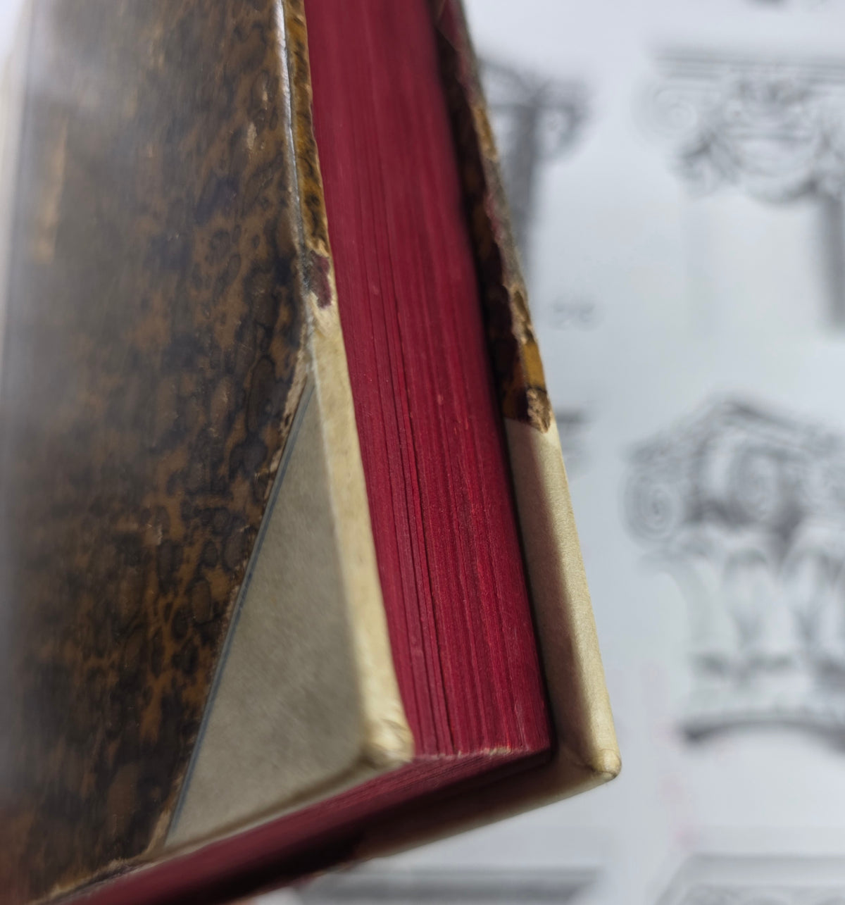 Scarce 1885 Pride and Prejudice by Jane Austen - Antique Book