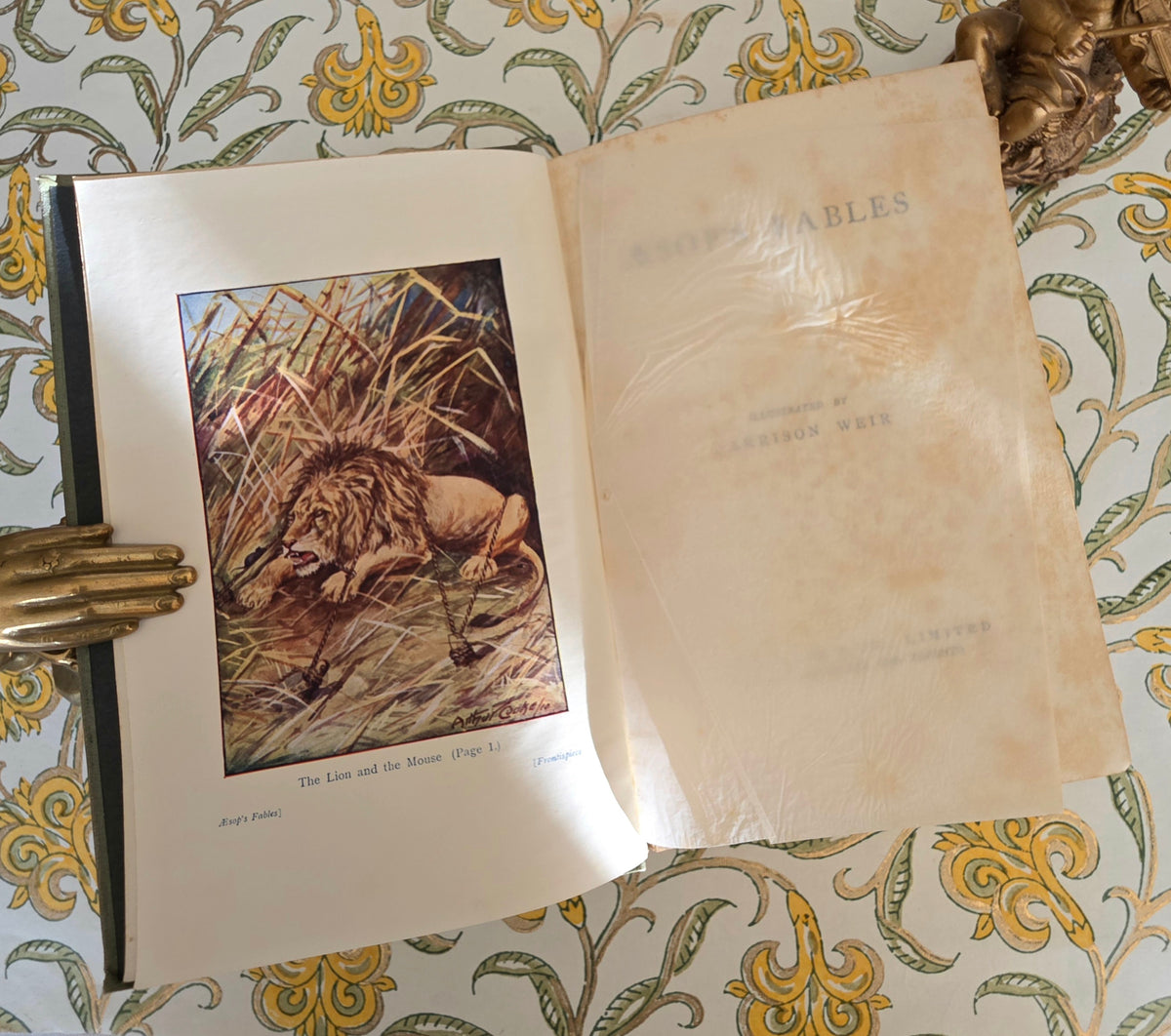 1914 Aesop's Fables - Illustrated Antique Book