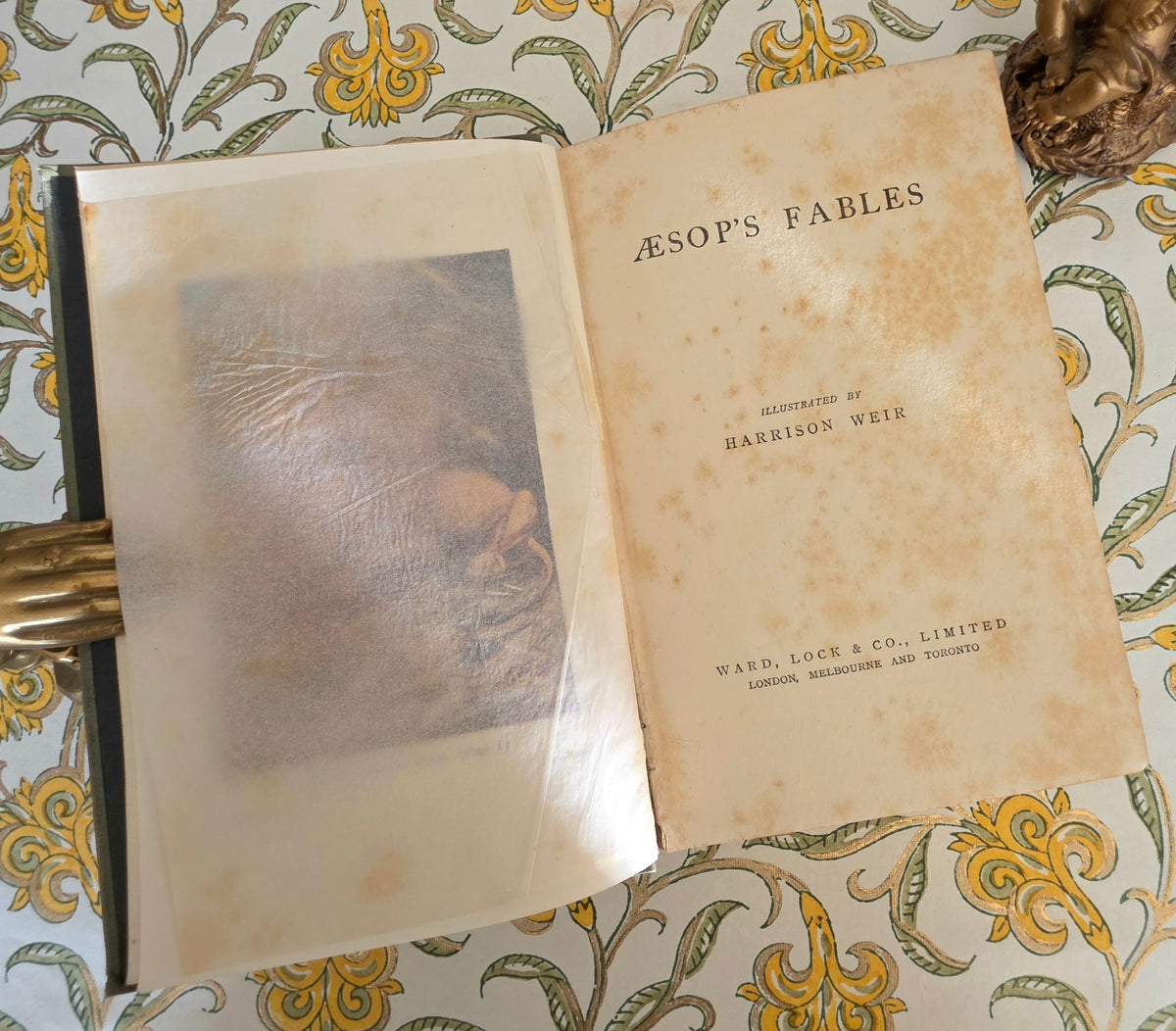 1914 Aesop's Fables - Illustrated Antique Book