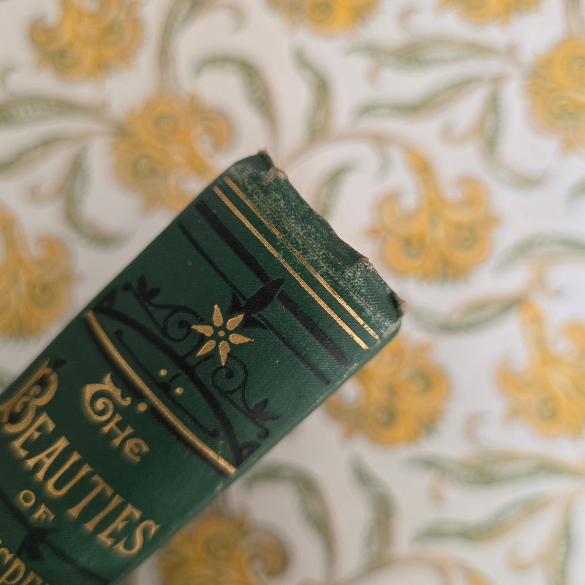 1878 The Beauties of Shakespeare - Illustrated Antique Book