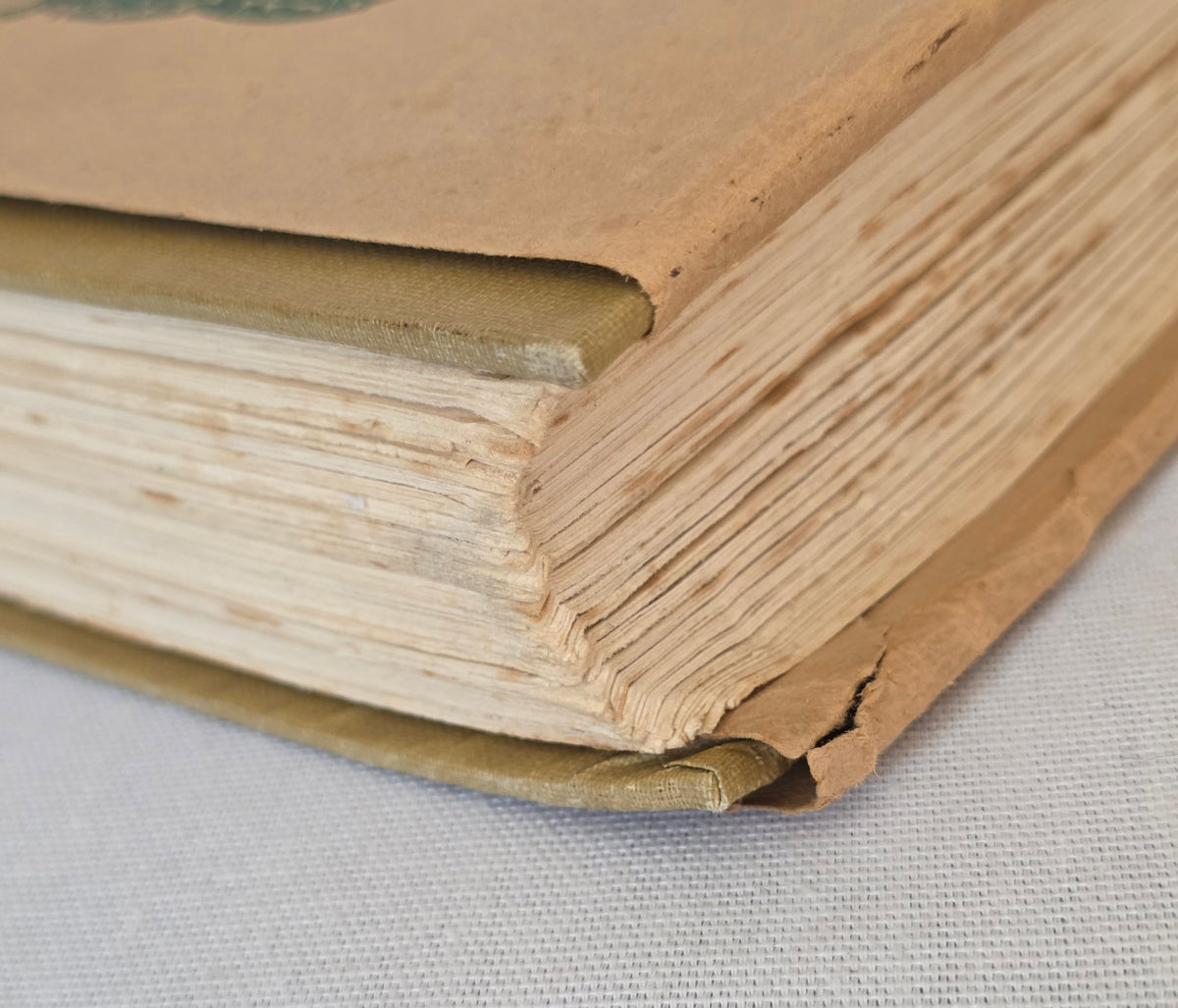 1917 Scarce Legends and Romances of Brittany - Illustrated Antique Book