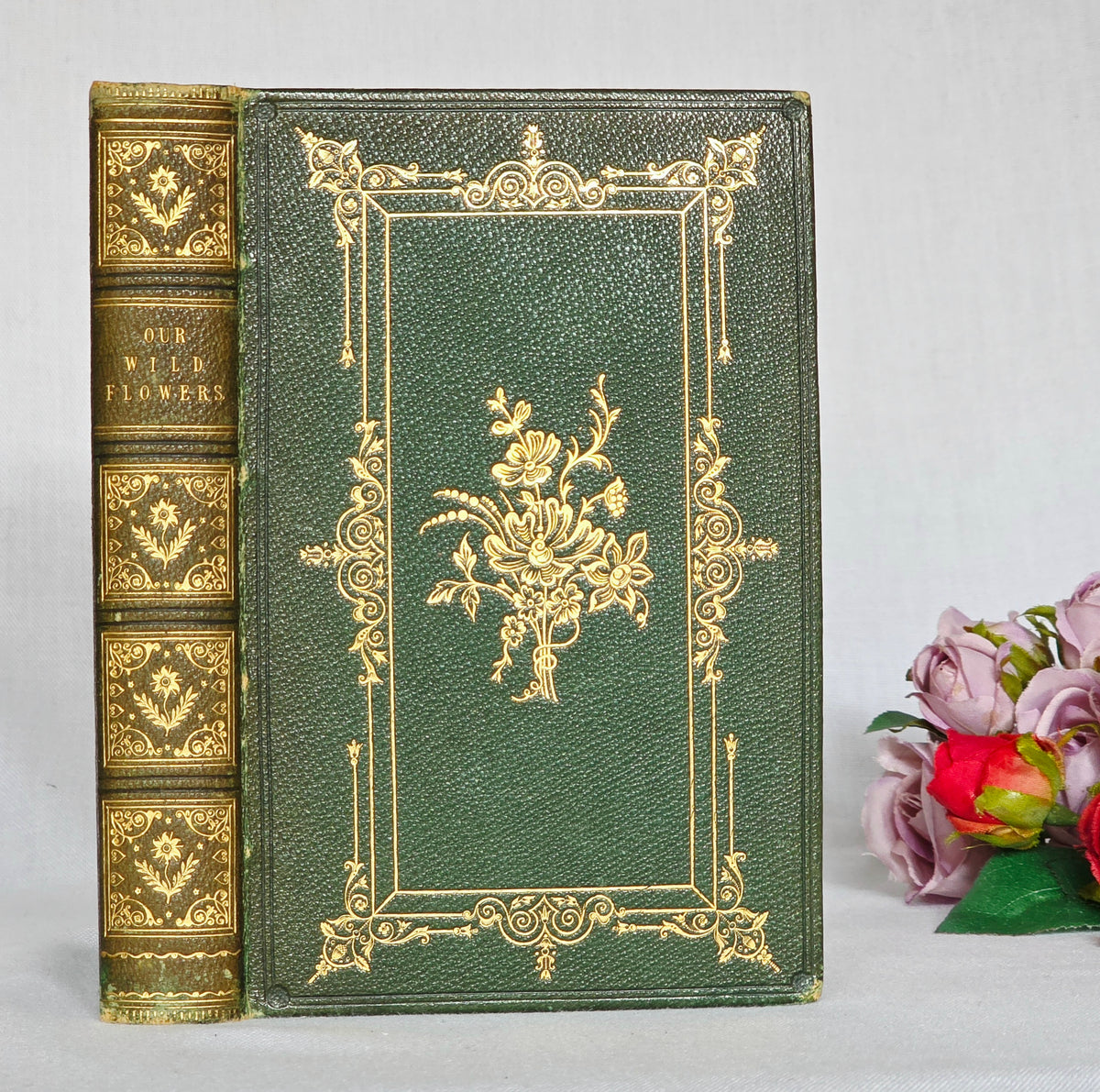 1843 Our Wild Flowers by Twamley - Illustrated Antique Book