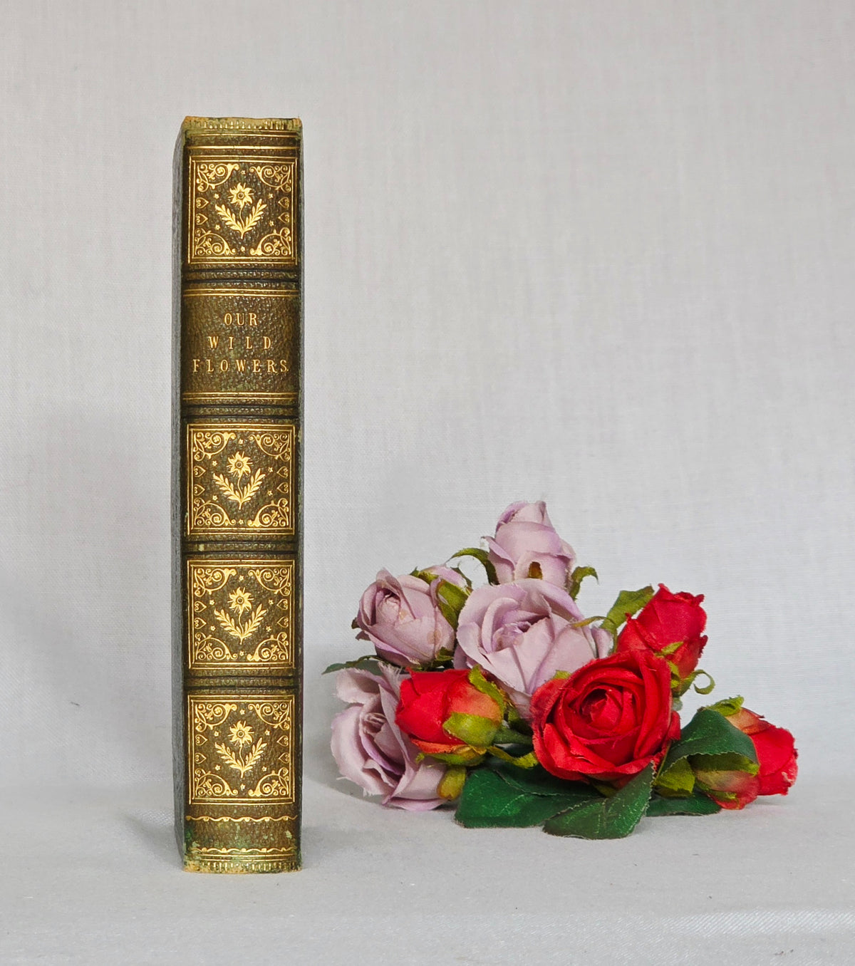 1843 Our Wild Flowers by Twamley - Illustrated Antique Book