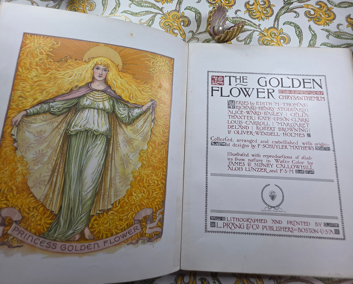 1890 The Golden Flower - Chrysanthemum - Illustrated Antique Book