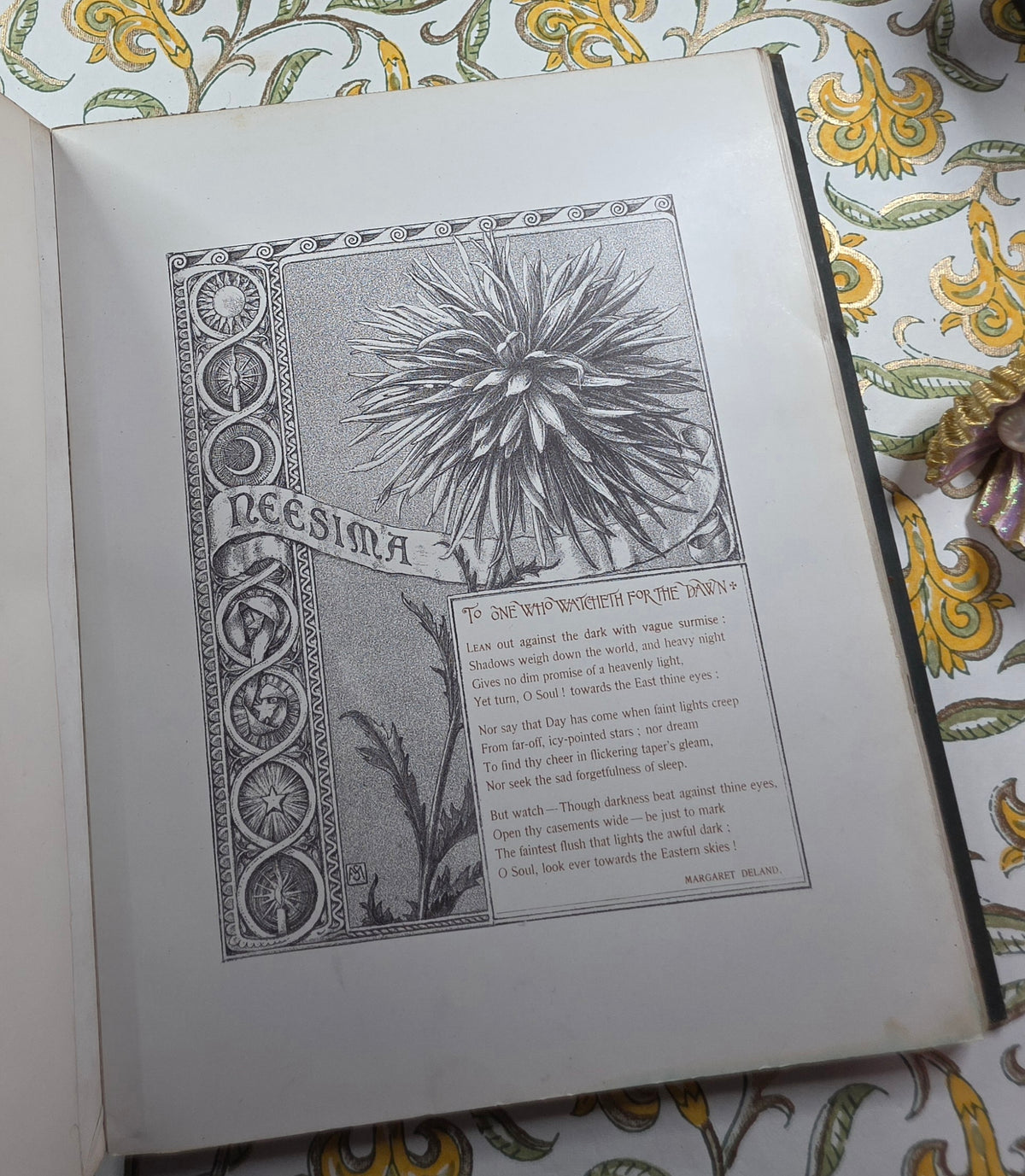 1890 The Golden Flower - Chrysanthemum - Illustrated Antique Book
