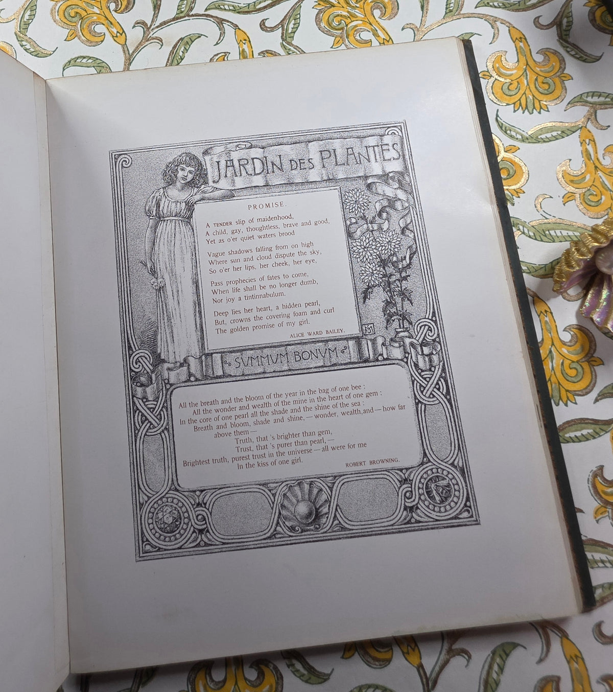 1890 The Golden Flower - Chrysanthemum - Illustrated Antique Book
