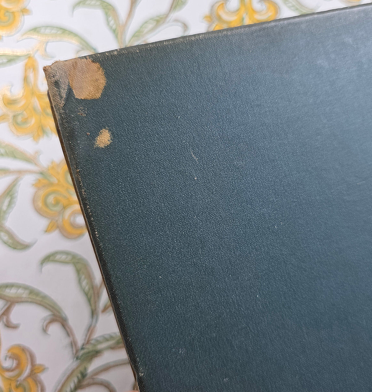 1890 The Golden Flower - Chrysanthemum - Illustrated Antique Book