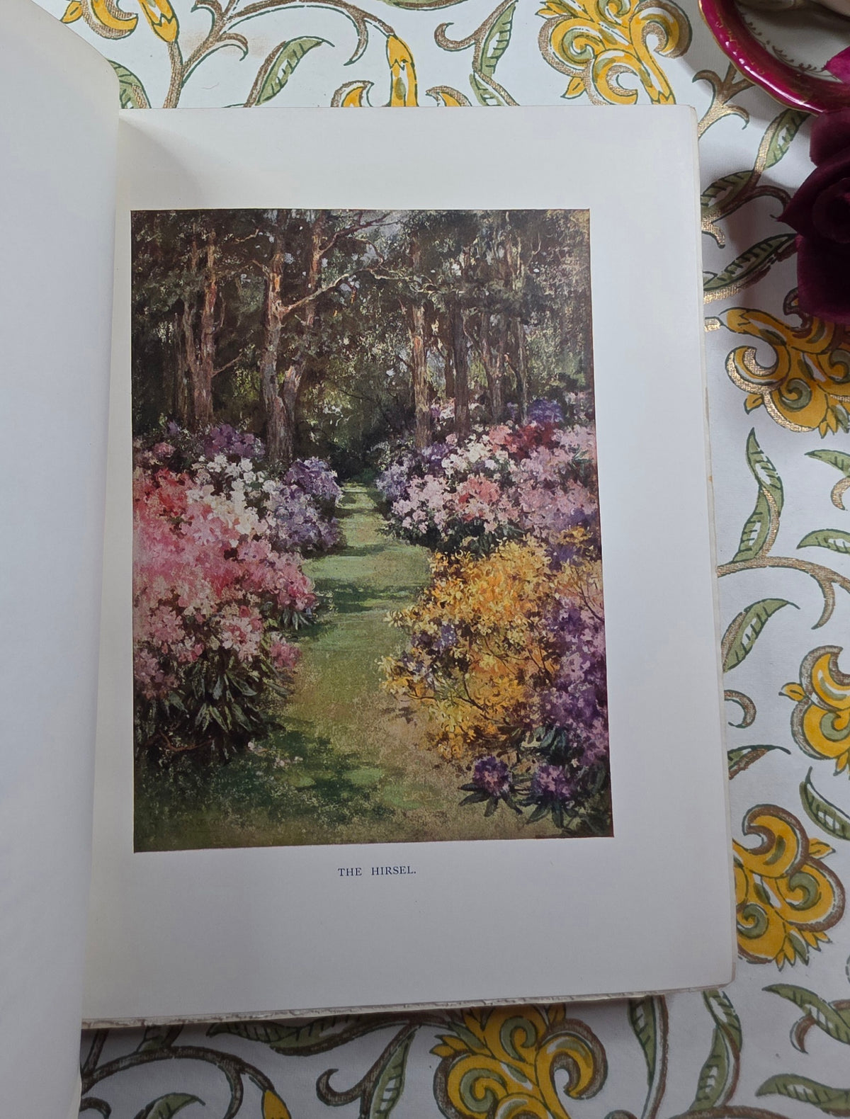 1908 Scottish Gardens by Sir Herbert Maxwell - Illustrated Antique Book