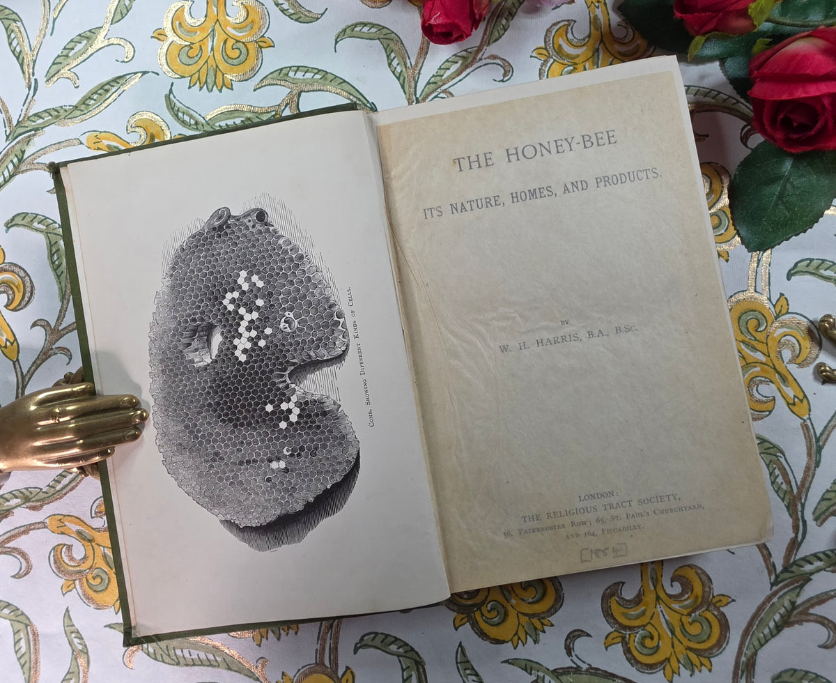 1884 The Honey-Bee - Its Nature, Homes and Products - Illustrated Antique Book