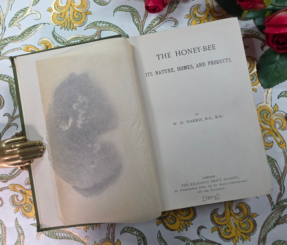 1884 The Honey-Bee - Its Nature, Homes and Products - Illustrated Antique Book